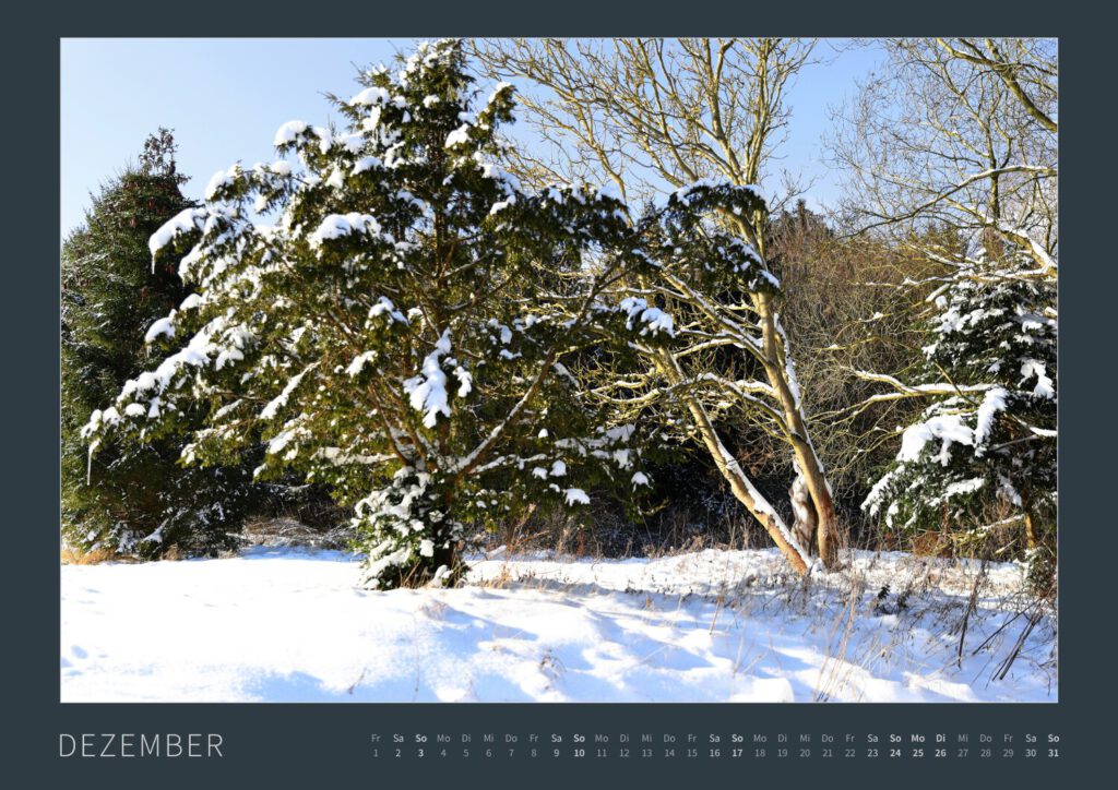 Das Monatsblatt Dezember 2023 vom Bodypainting-Kalender NATURE ART 2024 von Künstler Jörg Düsterwald. Ein bemaltes Fotomodell lehnt in einer Schneelandschaft an einem Baum.