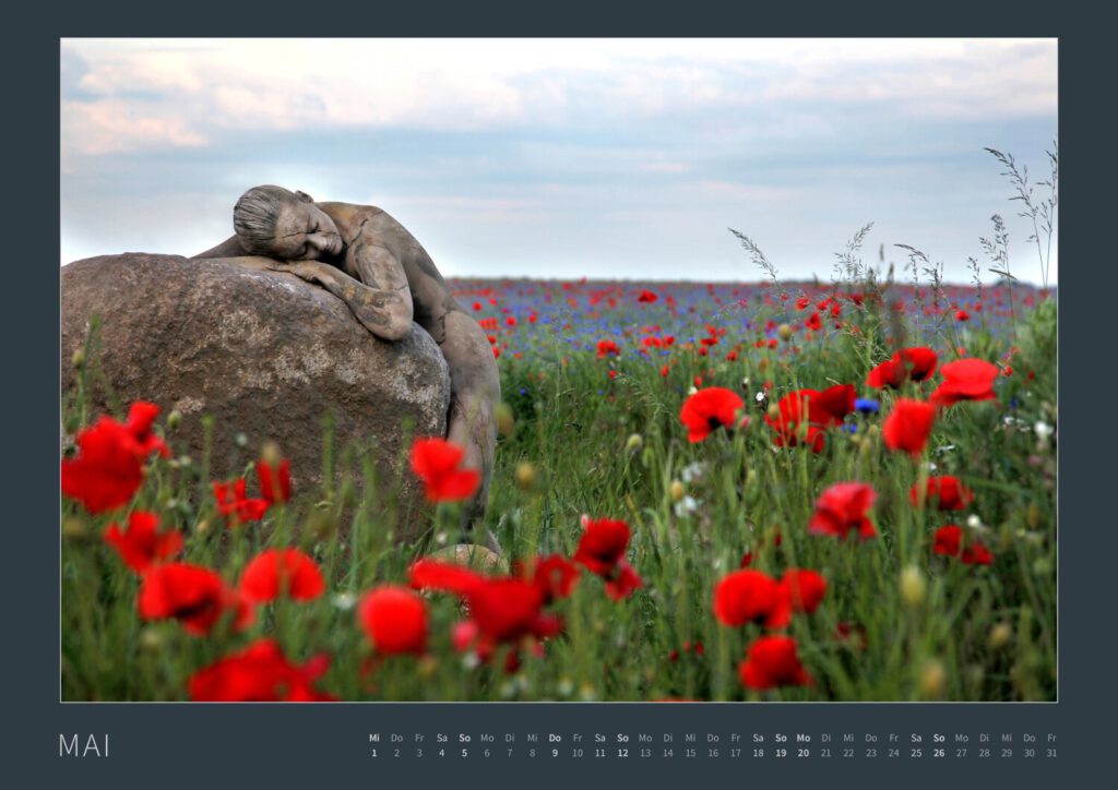 Das Monatsblatt Mai vom Bodypainting-Kalender NATURE ART 2024 von Künstler Jörg Düsterwald. Ein bemaltes Fotomodell beugt sich über einen dicken Stein in einem rotblauen Mohn- u. Kornblumenfeld.