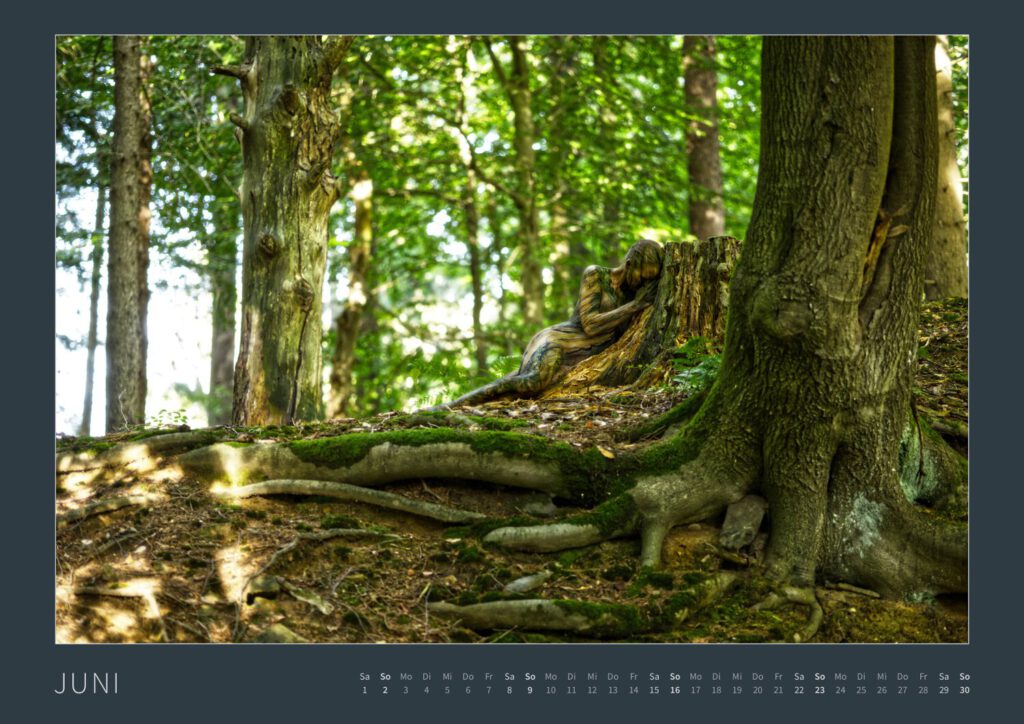 Das Monatsblatt Juni vom Bodypainting-Kalender NATURE ART 2024 von Künstler Jörg Düsterwald. Ein bemaltes Fotomodell schmiegt sich im Wald an einen Baumstumpf.