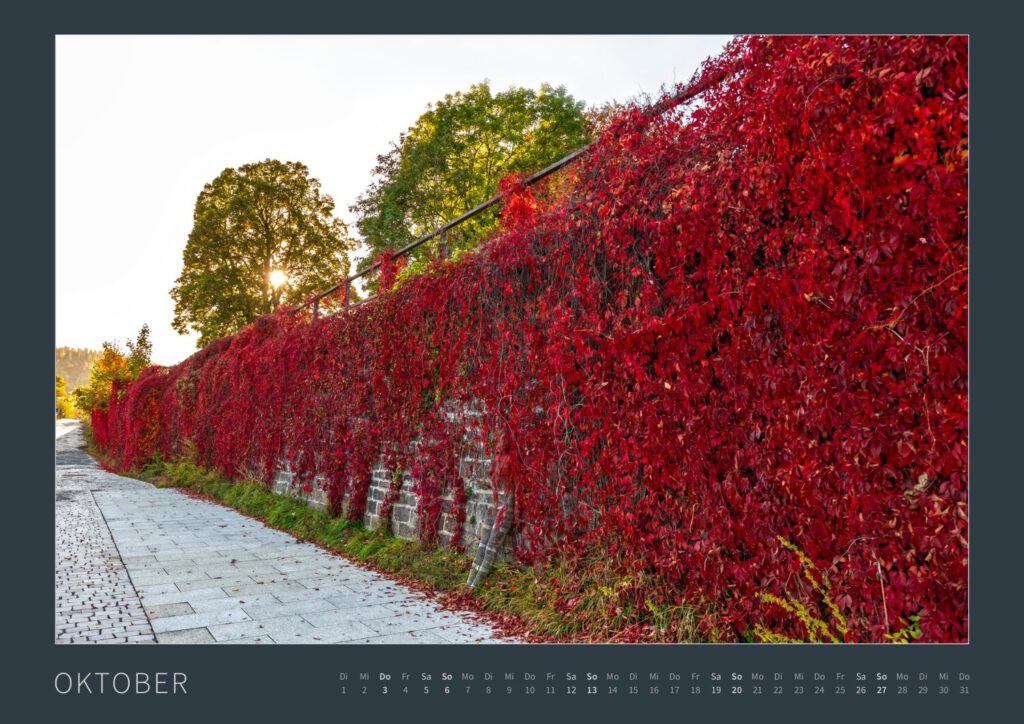 Das Monatsblatt Oktober vom Bodypainting-Kalender NATURE ART 2024 von Künstler Jörg Düsterwald. Ein bemaltes Fotomodell steht an einer großen, mit rotem Wein gewachsenen Wand.