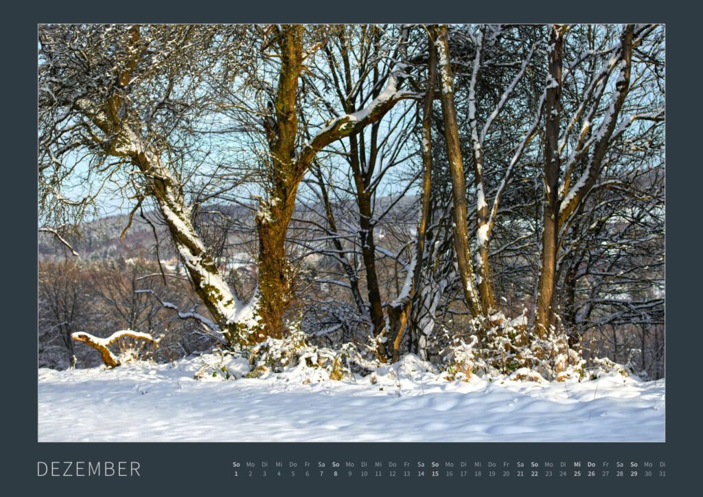 Das Monatsblatt Dezember vom Bodypainting-Kalender NATURE ART 2024 von Künstler Jörg Düsterwald. Ein bemaltes Fotomodell steht in einer Schneelandschaft zwischen Bäumen.
