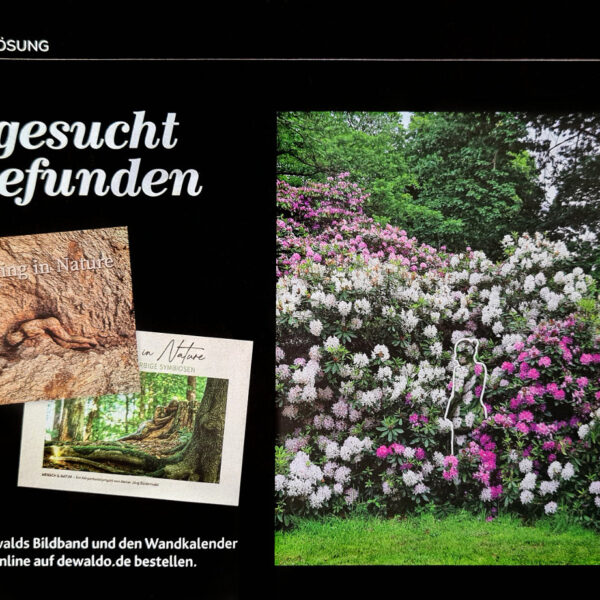 Die österreichische Sonntagszeitung KRONEBUNT berichtet über das Kunstprojekt NATURE ART des Künstlers Jörg Düsterwald