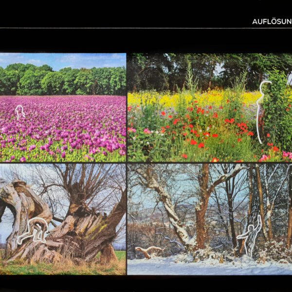 Die österreichische Sonntagszeitung KRONEBUNT berichtet über das Kunstprojekt NATURE ART des Künstlers Jörg Düsterwald