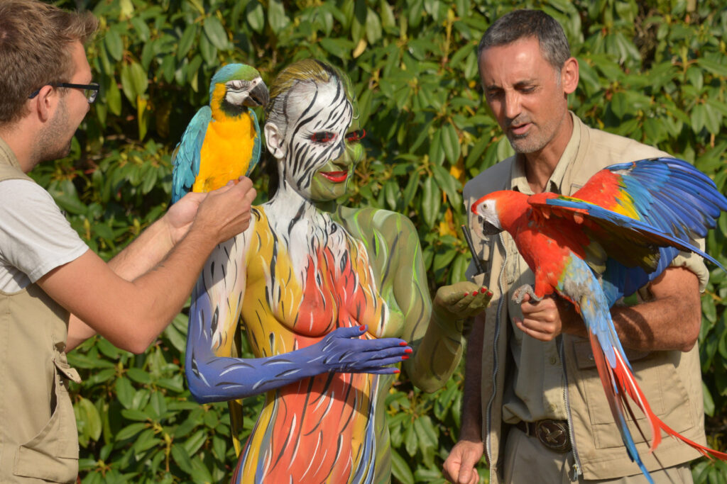 Für das Kunstprojekt Animalart hat Künstler Jörg Düsterwald ein nacktes Fotomodell komplett mit bunten Farben bemalt. Die Frau steht im Vogelpark, zwei Tierpfleger halten zwei bunte Papageien in ihrer Nähe.