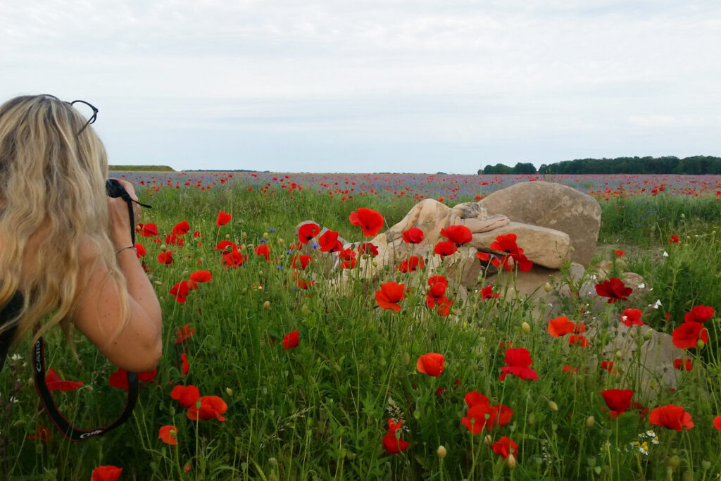 Ein nacktes Fotomodell wurde von Künstler Jörg Düsterwald vollständig so mit Farbe bemalt, dass die Person mit der Kulisse verschmilzt. Sie liegt auf dicken Steinen in einem Mohnfeld und wird von einer Fotografin fotografiert.