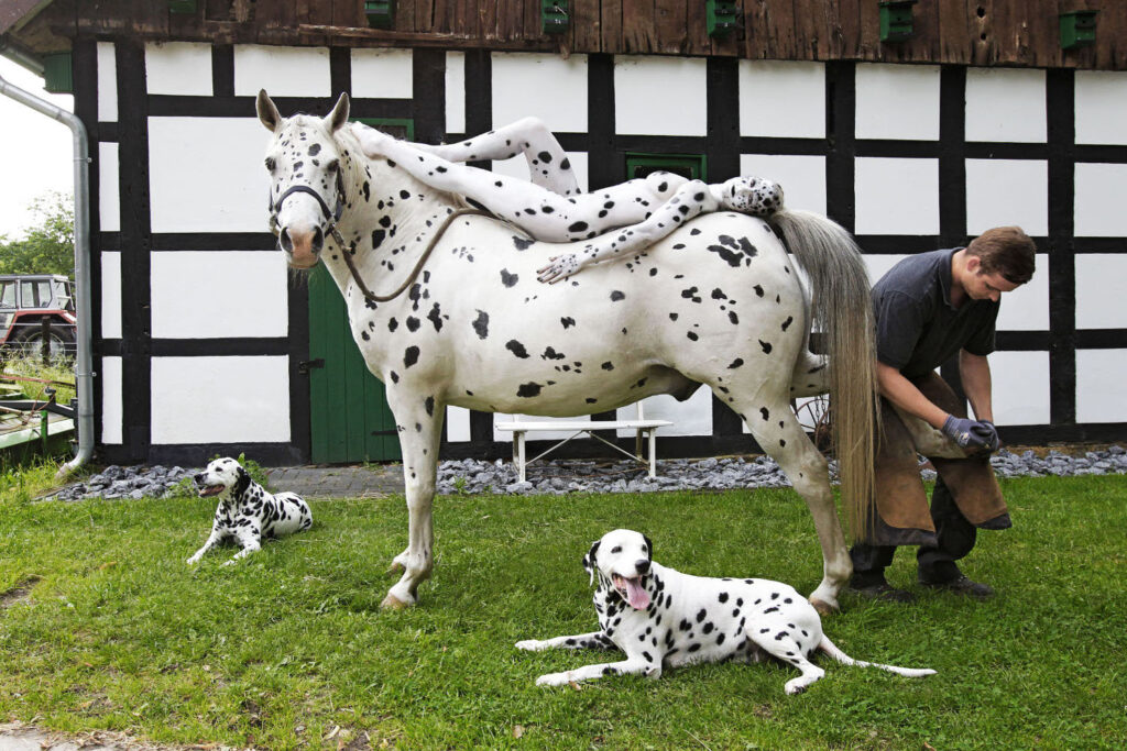 Künstler Jörg Düsterwald hat für das Kunstprojekt ANIMAL ART ein Fotomodell vollständig weiß mit schwarzen Flecken bemalt. Die Frau liegt auf dem Rücken eines Pferdes, welches genauso aussieht. Davor sitzen zwei Dalmatiner, ein Hufschmied beschlägt das Pferd.