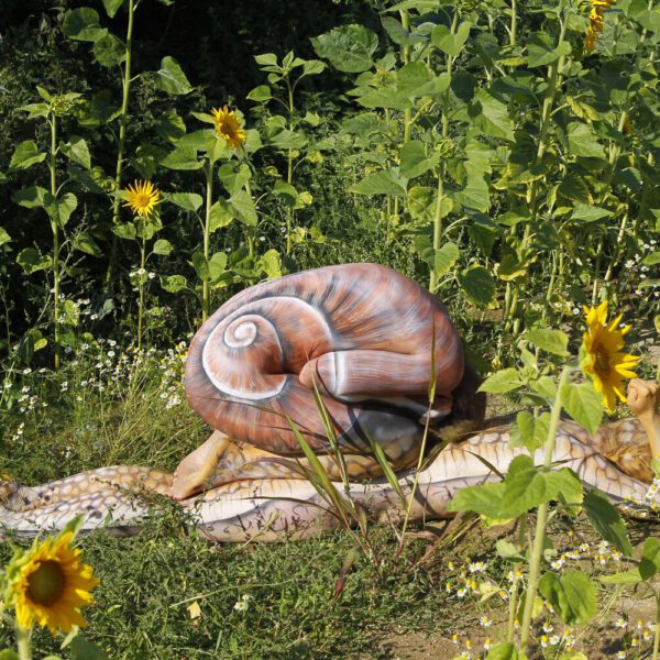 Zwei nackte Fotomodelle wurden von Künstler Jörg Düsterwald wie eine Schnecke bemalt. Eine Frau liegt bäuchlings unten, die andere sitzt zum Schneckenhaus zusammengerollt oben auf ihr. Zusammen bilden Sie eine überdimensionale Schnecke, die durch ein Sonnenblumenfeld kriecht.