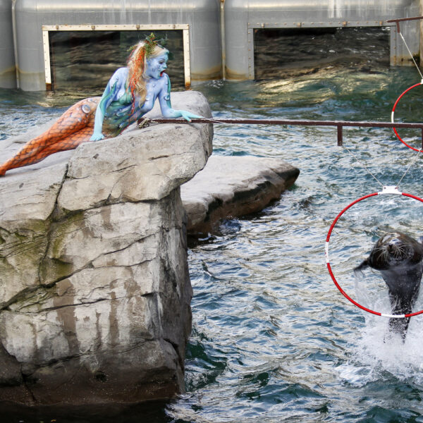 Ein von Künstler Jörg Düsterwald wie eine Nixe bemaltes Fotomodell posiert mit einem Seelöwen in einem Tiergehege in einem Zoo.
