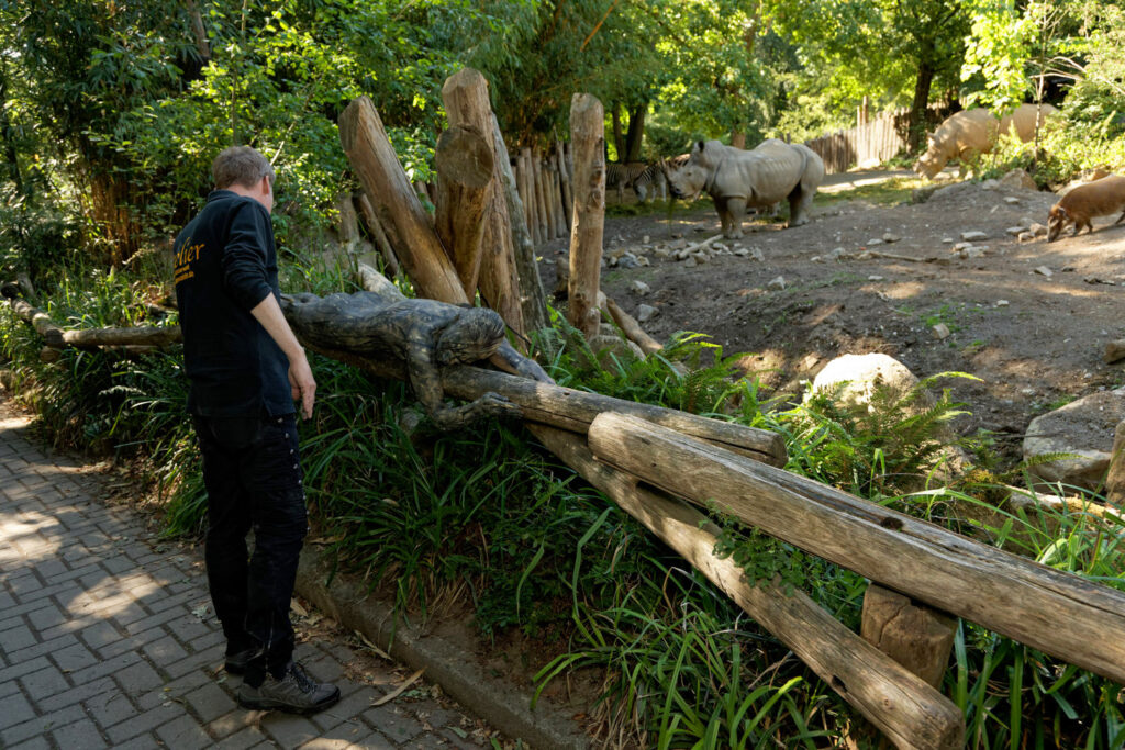 Ein nacktes Fotomodell wurde für das Kunstprojekt Animalart von Künstler Jörg Düsterwald vollständig mit Farbe bemalt. Die Frau liegt auf einem Baumstamm an einem Zoogehege, im Hintergrund stehen Nashörner und Zebras. Der Künstler steht daneben und gibt Anweisungen für Fotoaufnahmen.