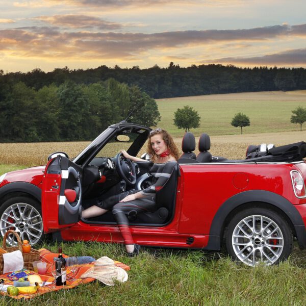 Für das Kunstprojekt DOOR ART ließ sich ein nacktes Fotomodell von Künstler Jörg Düsterwald vollständig so mit Farbe bemalen, dass es genau zur Umgebung von Türen und Toren passt. Die Frau sitzt bei offener Tür in einem Cabrio auf einer Wiese, vor ihr ist eine Picknickdecke ausgebreitet.