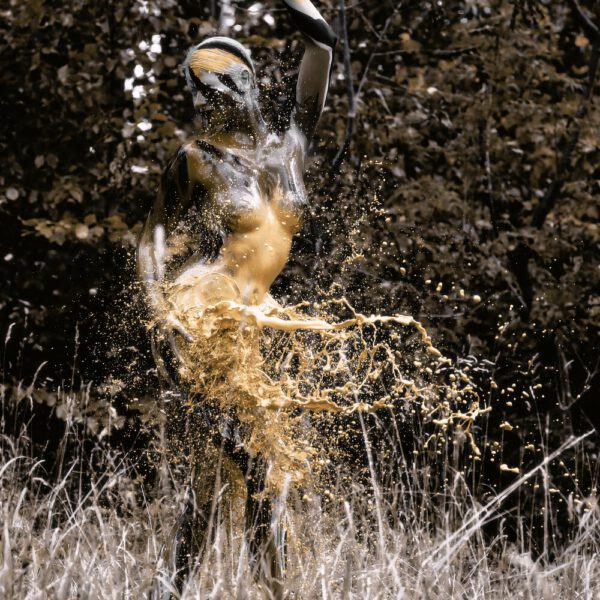 Für das Outdoor-Projekt SPLASH ART hat Künstler Jörg Düsterwald ein unbekleidetes Fotomodell mit Körperfarbe bemalt und anschließend in einer Landschaft mit flüssiger Farbe übergossen.