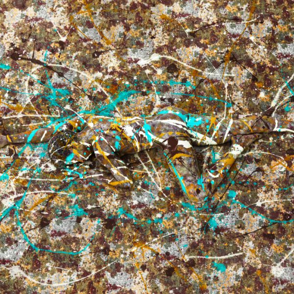 Mit flüssiger Farbe, einem bemalten Fotomodell und einem Bodenbelag als Grundlage hat Künstler Jörg Düsterwald sowohl einzigartige Fotobildwerke wie auch ein Teppichdesign als exklusives Unikat kreiert.