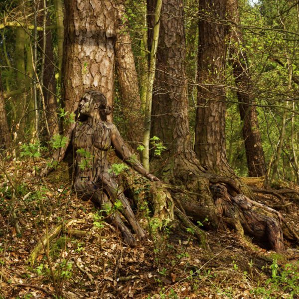 Waldmotiv aus dem Körperkunstprojekt NATURE ART des Künstlers Jörg Düsterwald
