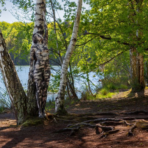 Birkenmotiv aus dem Körperkunstprojekt NATURE ART des Künstlers Jörg Düsterwald mit einem Bodypaintingmodell.