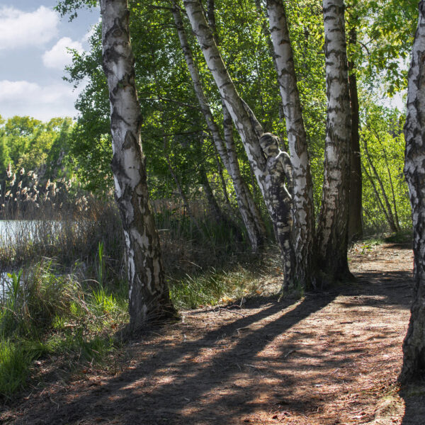 Birkenmotiv aus dem Körperkunstprojekt NATURE ART des Künstlers Jörg Düsterwald mit einem Bodypaintingmodell.