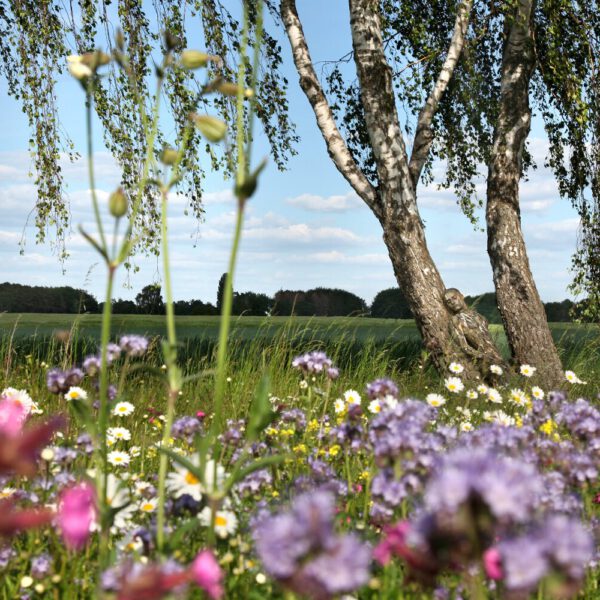 Frühlingsmotiv aus dem Körperkunstprojekt NATURE ART des Künstlers Jörg Düsterwald