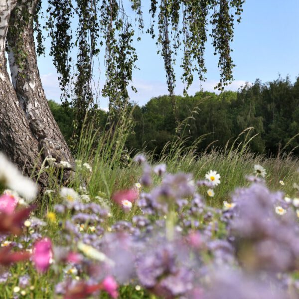 Frühlingsmotiv aus dem Körperkunstprojekt NATURE ART des Künstlers Jörg Düsterwald