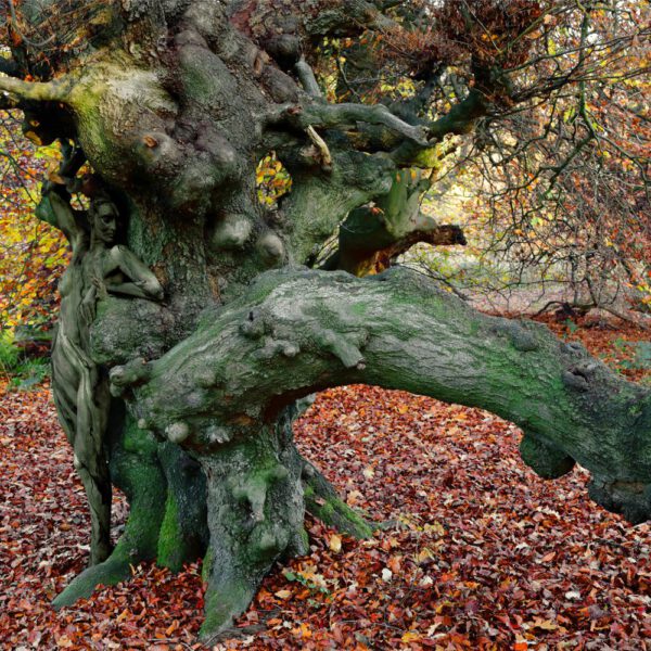 Herbstmotiv aus dem Körperkunstprojekt NATURE ART des Künstlers Jörg Düsterwald