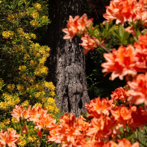 Frühlingsmotiv aus dem Körperkunstprojekt NATURE ART des Künstlers Jörg Düsterwald mit einem Bodypaintingmodell.