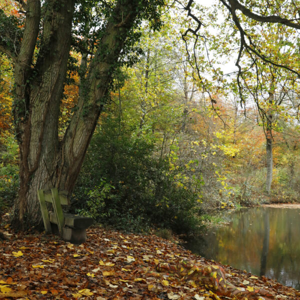 Herbstmotiv aus dem Körperkunstprojekt NATURE ART des Künstlers Jörg Düsterwald