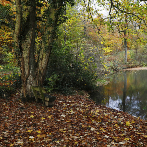 Herbstmotiv aus dem Körperkunstprojekt NATURE ART des Künstlers Jörg Düsterwald