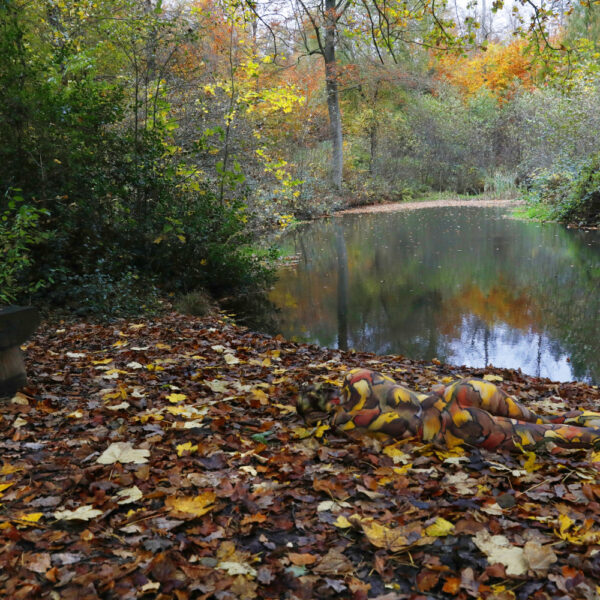 Herbstmotiv aus dem Körperkunstprojekt NATURE ART des Künstlers Jörg Düsterwald