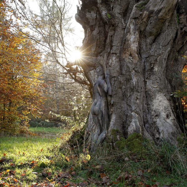 Herbstmotiv aus dem Körperkunstprojekt NATURE ART des Künstlers Jörg Düsterwald