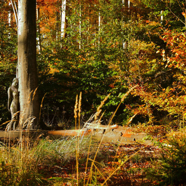 Herbstmotiv aus dem Körperkunstprojekt NATURE ART des Künstlers Jörg Düsterwald