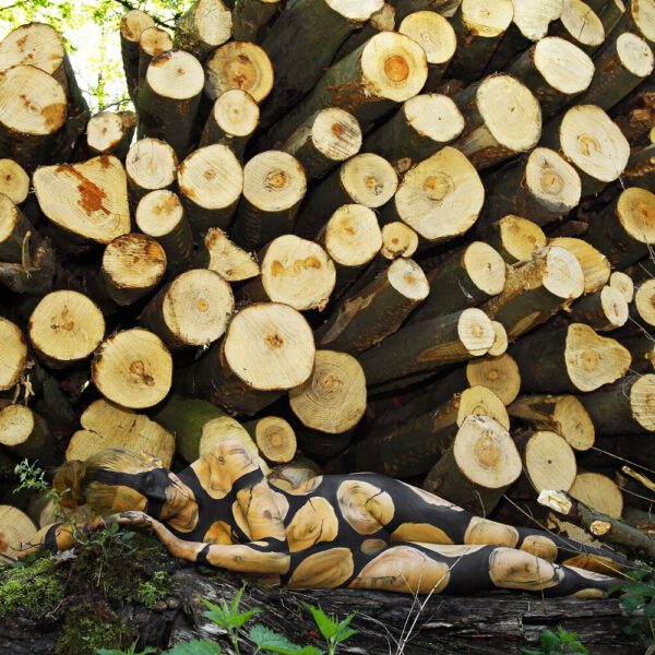 Holzstapelmotiv aus dem Körperkunstprojekt NATURE ART des Künstlers Jörg Düsterwald mit einem Bodypaintingmodell.