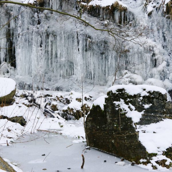 Winter-Motiv von dem Körperkunstprojekt NATURE ART des Künstlers Jörg Düsterwald mit einem Bodypaintingmodell.