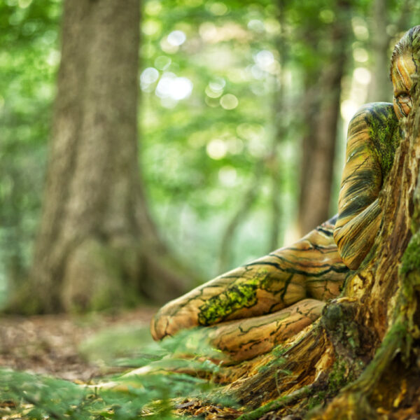 Waldmotiv aus dem Körperkunstprojekt NATURE ART des Künstlers Jörg Düsterwald mit einem Bodypaintingmodell.