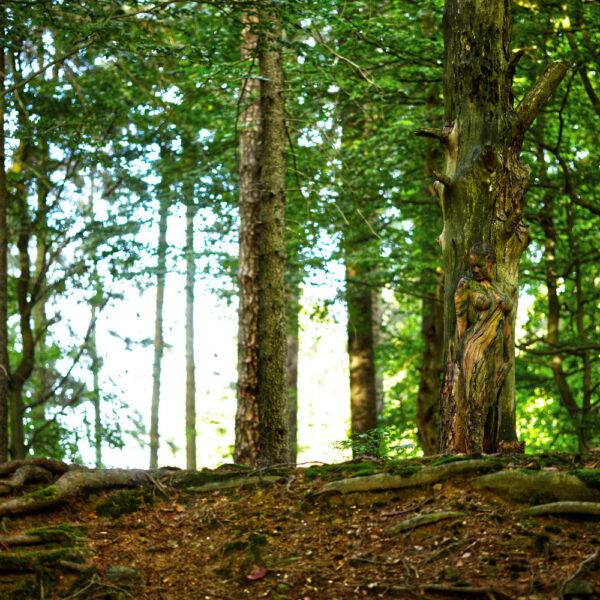 Waldmotiv aus dem Körperkunstprojekt NATURE ART des Künstlers Jörg Düsterwald mit einem Bodypaintingmodell.