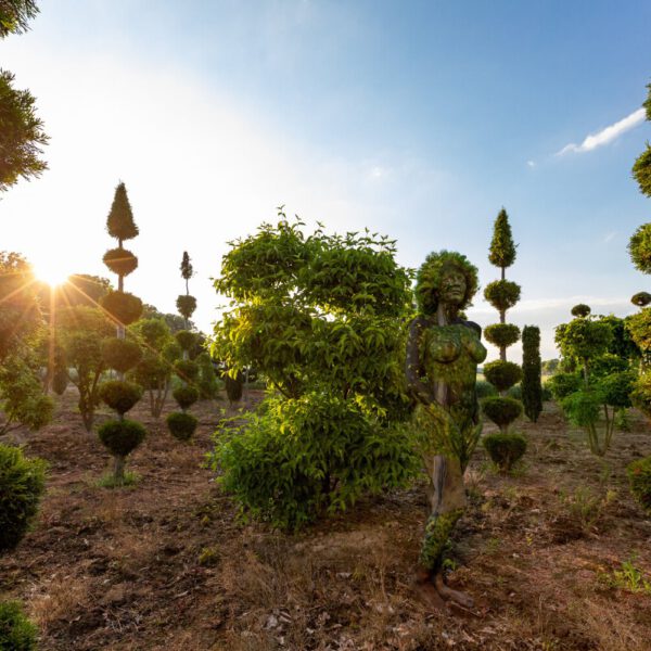 Gartenmotiv aus dem Körperkunstprojekt NATURE ART des Künstlers Jörg Düsterwald mit einem Bodypaintingmodell.