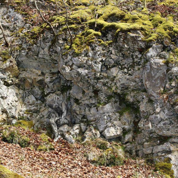 Felsenmotiv aus dem Körperkunstprojekt NATURE ART des Künstlers Jörg Düsterwald