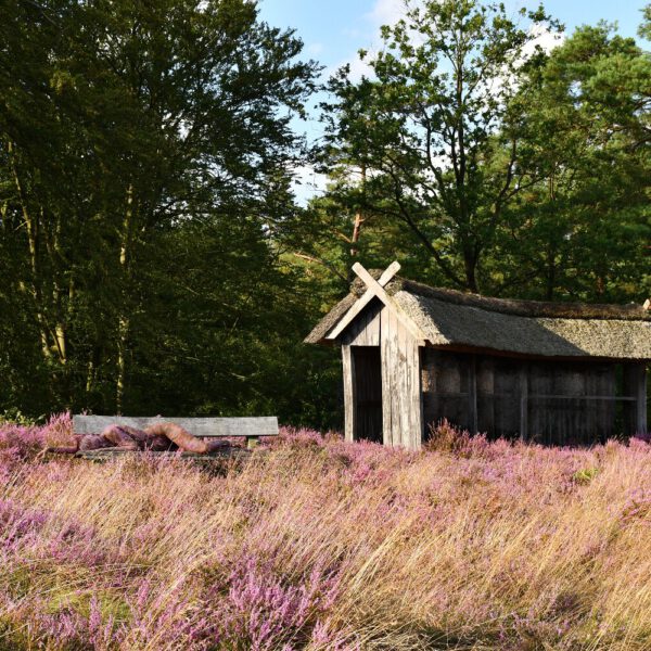 Heidemotiv aus dem Körperkunstprojekt NATURE ART des Künstlers Jörg Düsterwald