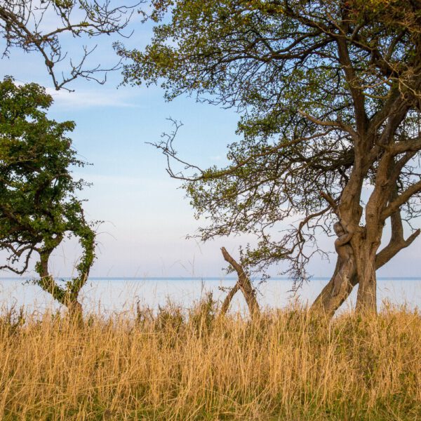 Küstenmotiv aus dem Körperkunstprojekt NATURE ART des Künstlers Jörg Düsterwald