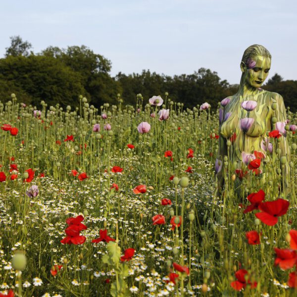 Mohnblumen-Motiv aus dem Körperkunstprojekt NATURE ART des Künstlers Jörg Düsterwald mit einem Bodypaintingmodell.