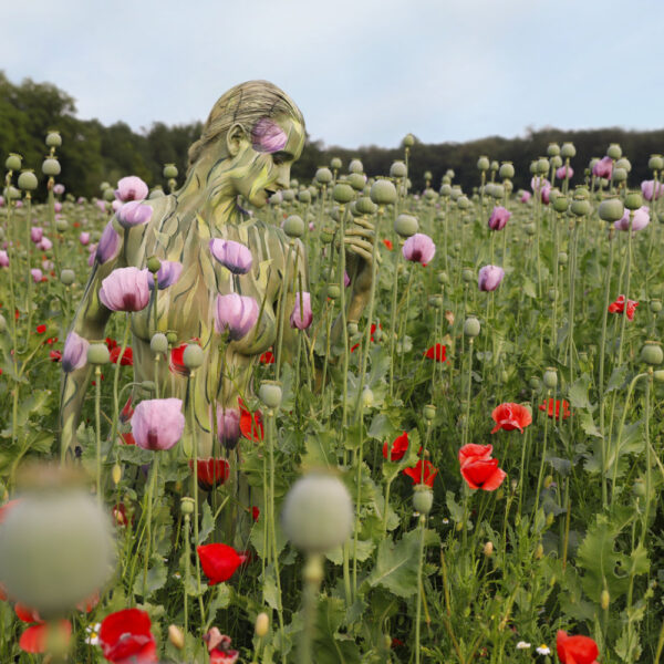 Mohnblumen-Motiv aus dem Körperkunstprojekt NATURE ART des Künstlers Jörg Düsterwald mit einem Bodypaintingmodell.