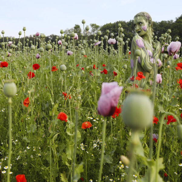 Mohnblumen-Motiv aus dem Körperkunstprojekt NATURE ART des Künstlers Jörg Düsterwald mit einem Bodypaintingmodell.