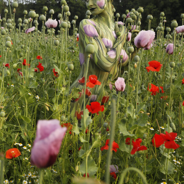 Mohnblumen-Motiv aus dem Körperkunstprojekt NATURE ART des Künstlers Jörg Düsterwald mit einem Bodypaintingmodell.