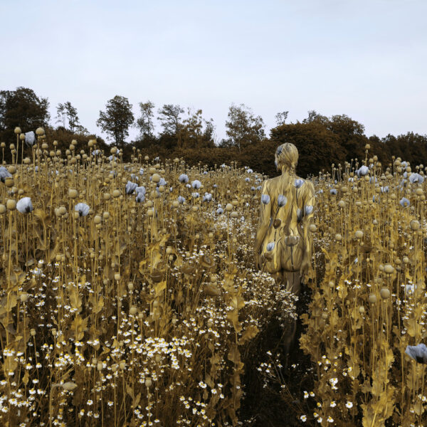 Mohnblumen-Motiv aus dem Körperkunstprojekt NATURE ART des Künstlers Jörg Düsterwald mit einem Bodypaintingmodell.