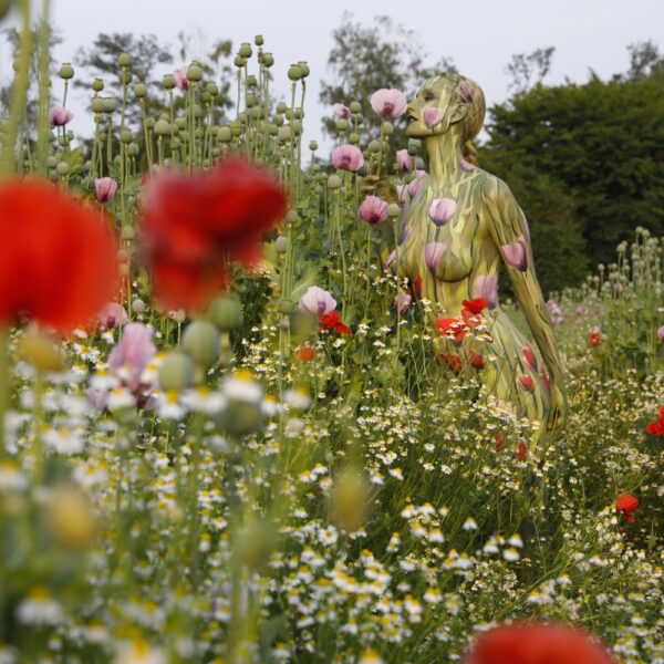 Mohnblumen-Motiv aus dem Körperkunstprojekt NATURE ART des Künstlers Jörg Düsterwald mit einem Bodypaintingmodell.