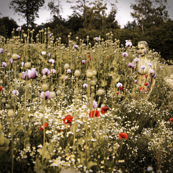 Mohnblumen-Motiv aus dem Körperkunstprojekt NATURE ART des Künstlers Jörg Düsterwald mit einem Bodypaintingmodell.