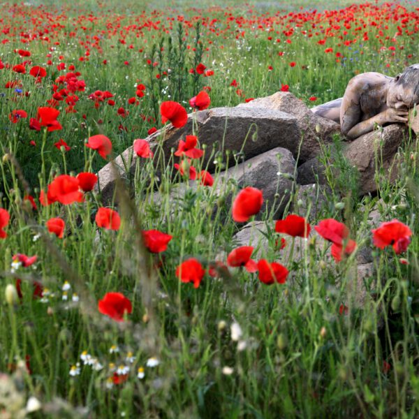 Mohnblumen-Motiv aus dem Körperkunstprojekt NATURE ART des Künstlers Jörg Düsterwald mit einem Bodypaintingmodell.