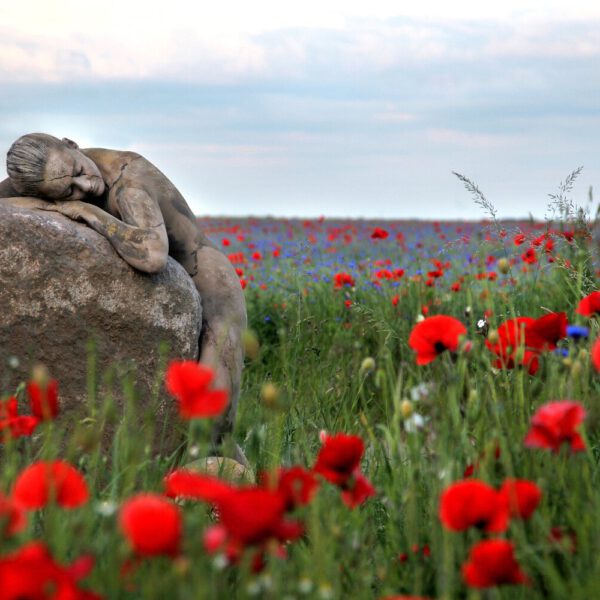 Mohnblumen-Motiv aus dem Körperkunstprojekt NATURE ART des Künstlers Jörg Düsterwald mit einem Bodypaintingmodell.