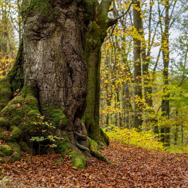 Buchen-Motiv von dem Körperkunstprojekt NATURE ART des Künstlers Jörg Düsterwald mit einem Bodypaintingmodell.