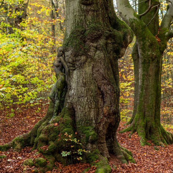 Buchen-Motiv von dem Körperkunstprojekt NATURE ART des Künstlers Jörg Düsterwald mit einem Bodypaintingmodell.