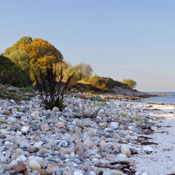 Strandsteine-Motiv aus dem Körperkunstprojekt NATURE ART des Künstlers Jörg Düsterwald