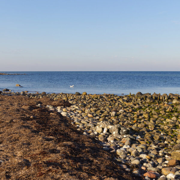 Strandsteine-Motiv aus dem Körperkunstprojekt NATURE ART des Künstlers Jörg Düsterwald