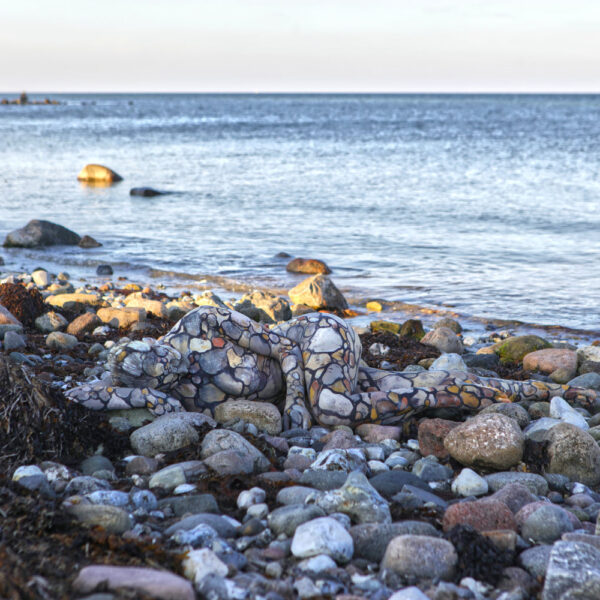 Strandsteine-Motiv aus dem Körperkunstprojekt NATURE ART des Künstlers Jörg Düsterwald